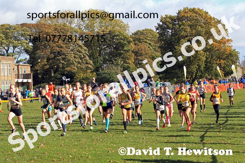 Girls under-13s 2022 Northern Cross Country Relays, Graves Park, Sheffield. Photo: David T. Hewitson/Sports for All Pics